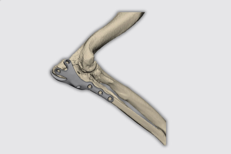 ennoia, services, Pathologies faciales, crâniennes et orales