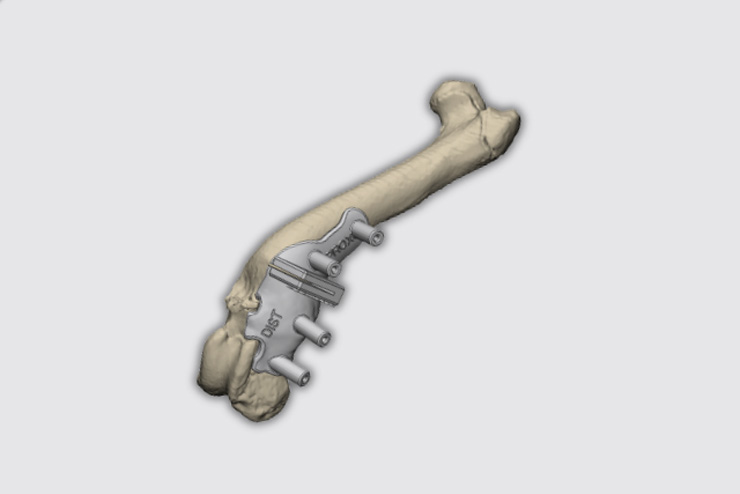 ennoia, services, Pathologies faciales, crâniennes et orales