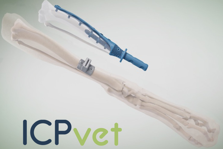 ennoia, produits, Affections de l'appareil locomoteur